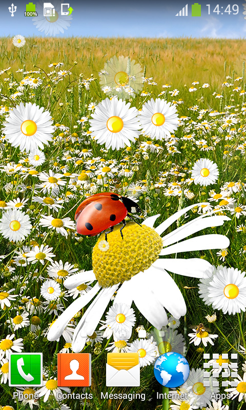 Ladybug Live Wallpaper Top App For Android