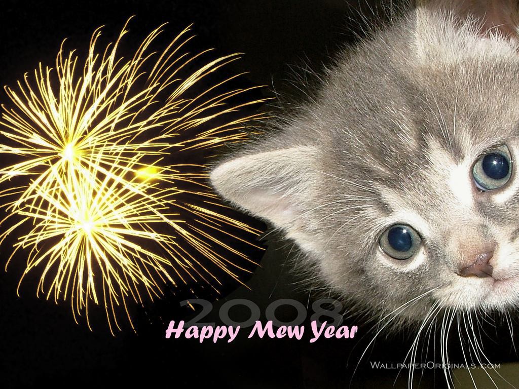 Kitten New Year Wallpaper