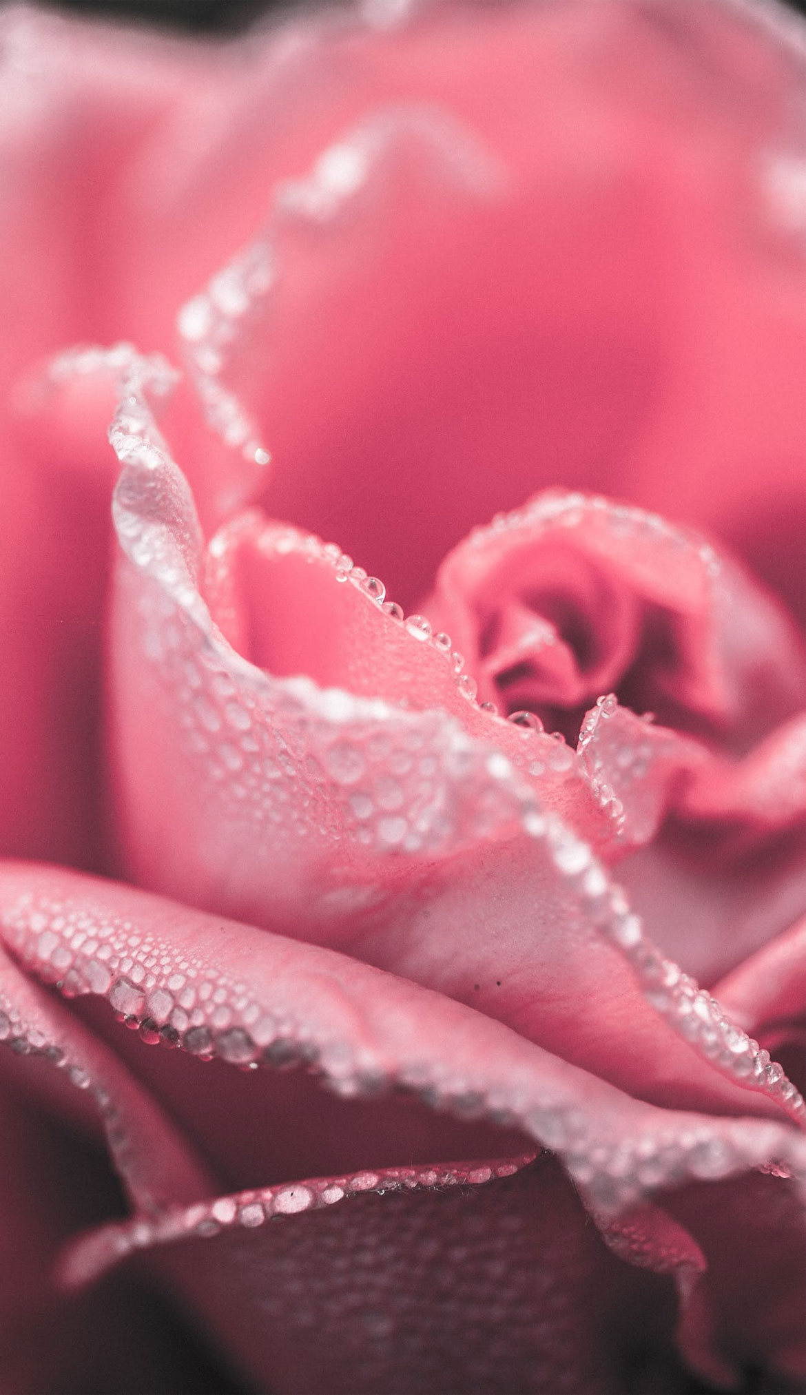 Pink Aesthetic Picture Wallpaper