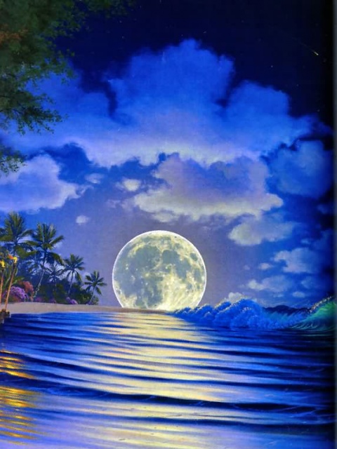 Ocean Moon Wallpaper Screensaver Pre Id