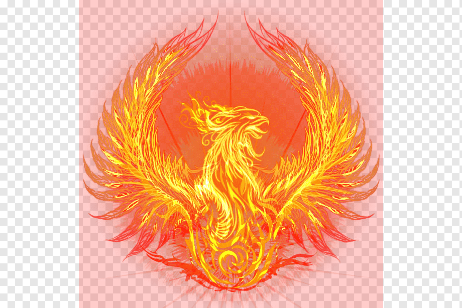 Flame Bird Illustration Fenghuang Phoenix Wings Orange