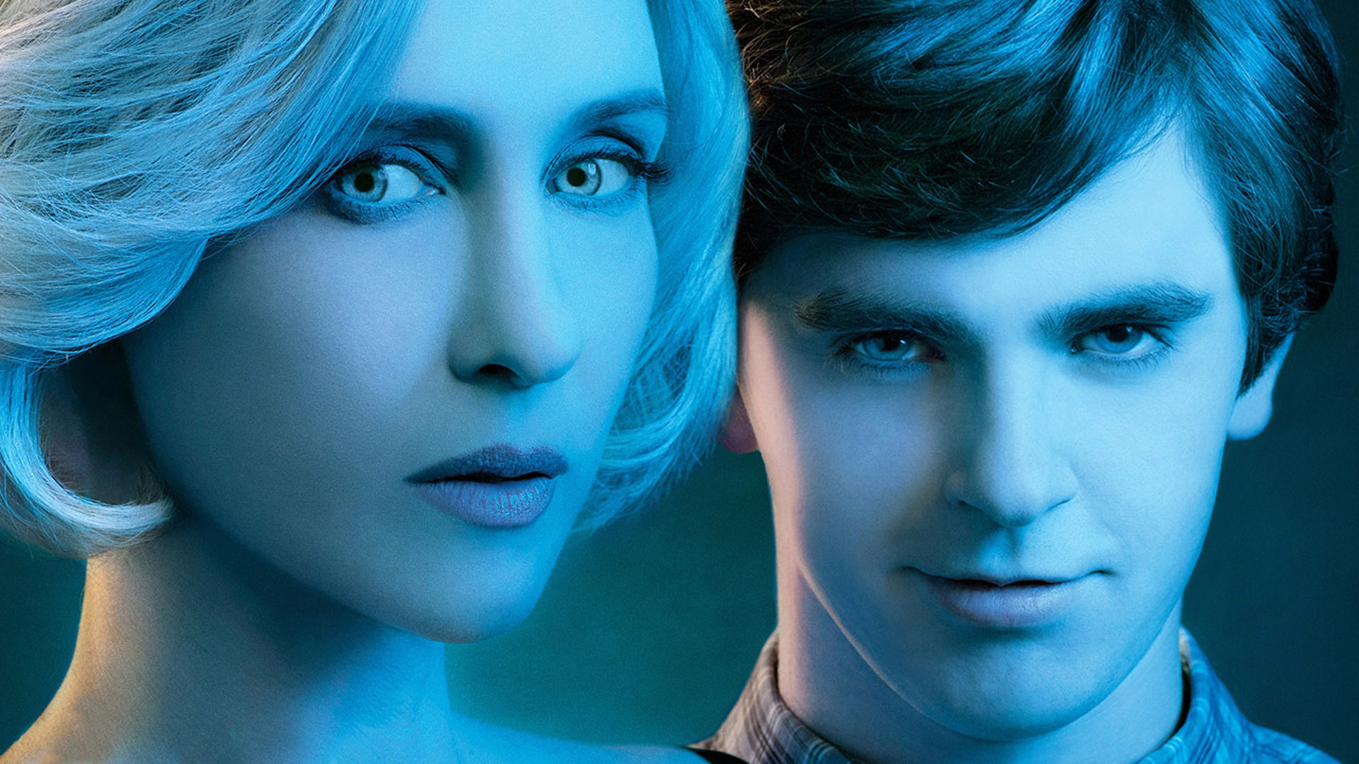 Freddie Highmore HD Wallpaper