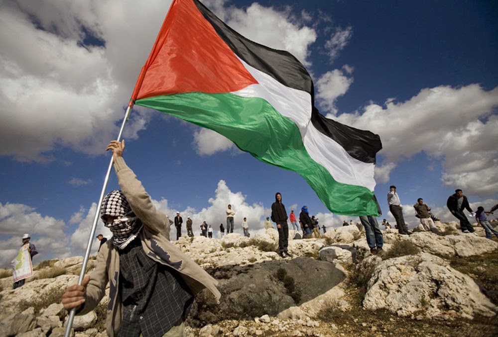 Palestinian Dom Fighter With Palestine Flag Jpg