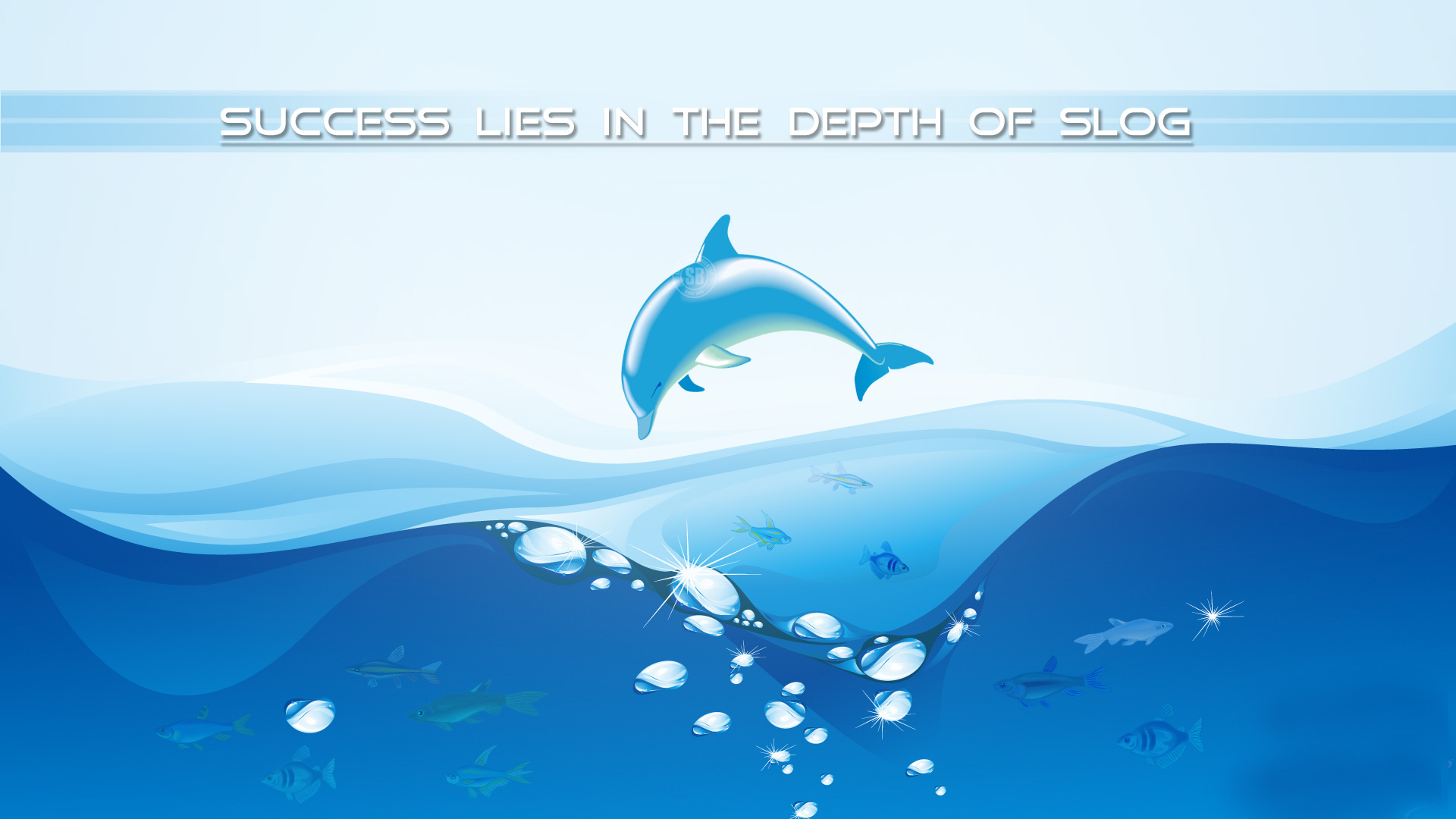 Dolphin Motivational Wallpaper Inspiration Inspirational Motivation