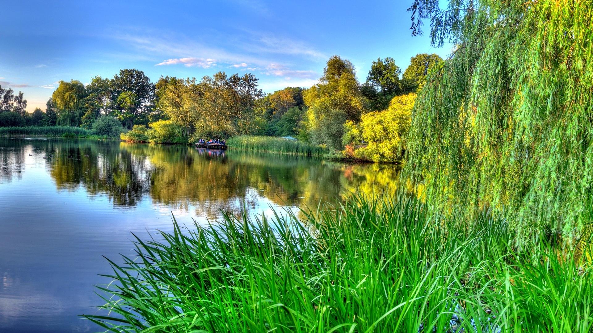 Wallpaper The Green Of Nature Spring River Beauty Full