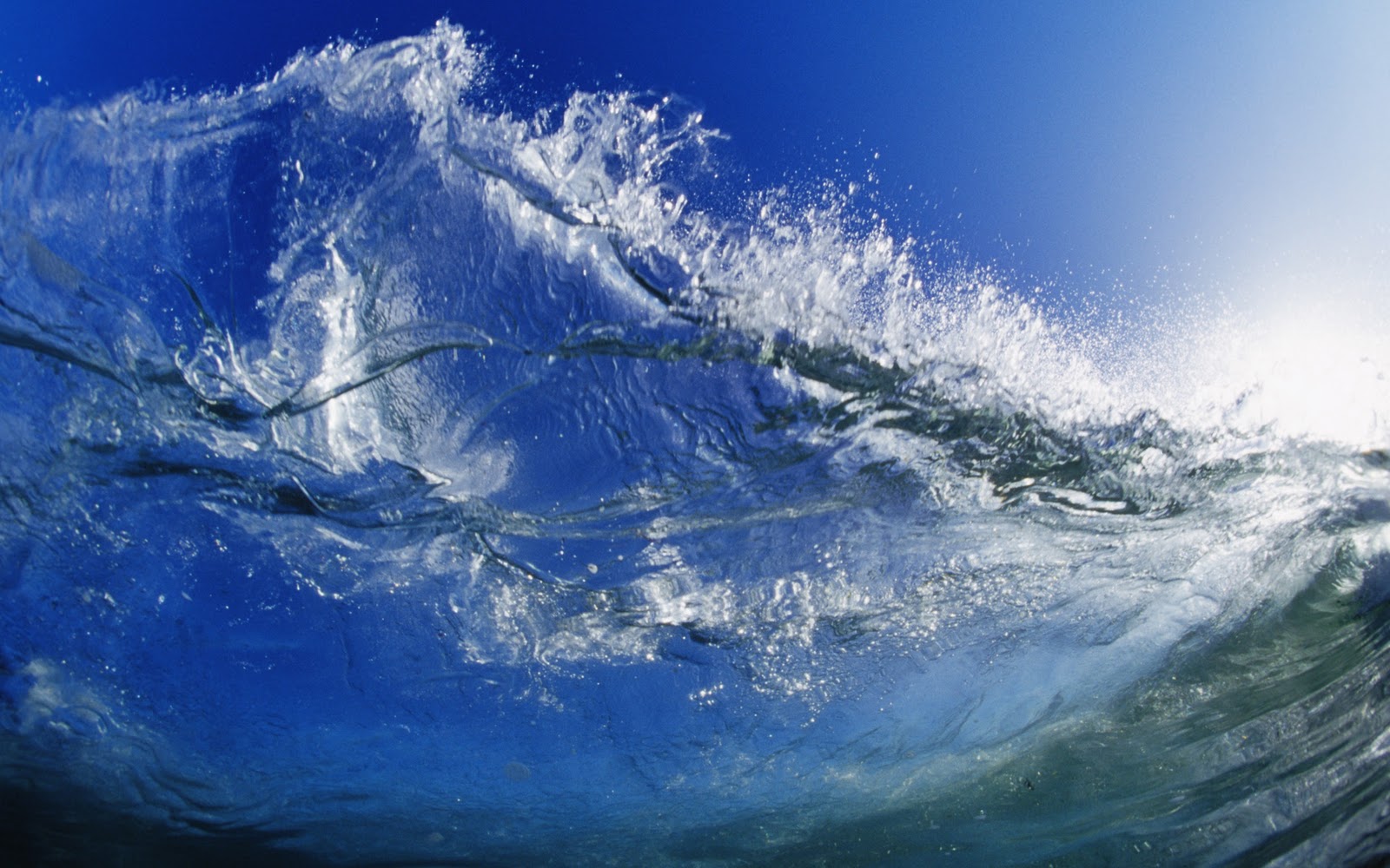 Free HD Wallpaper Surfing Wallpapers 1920x1200