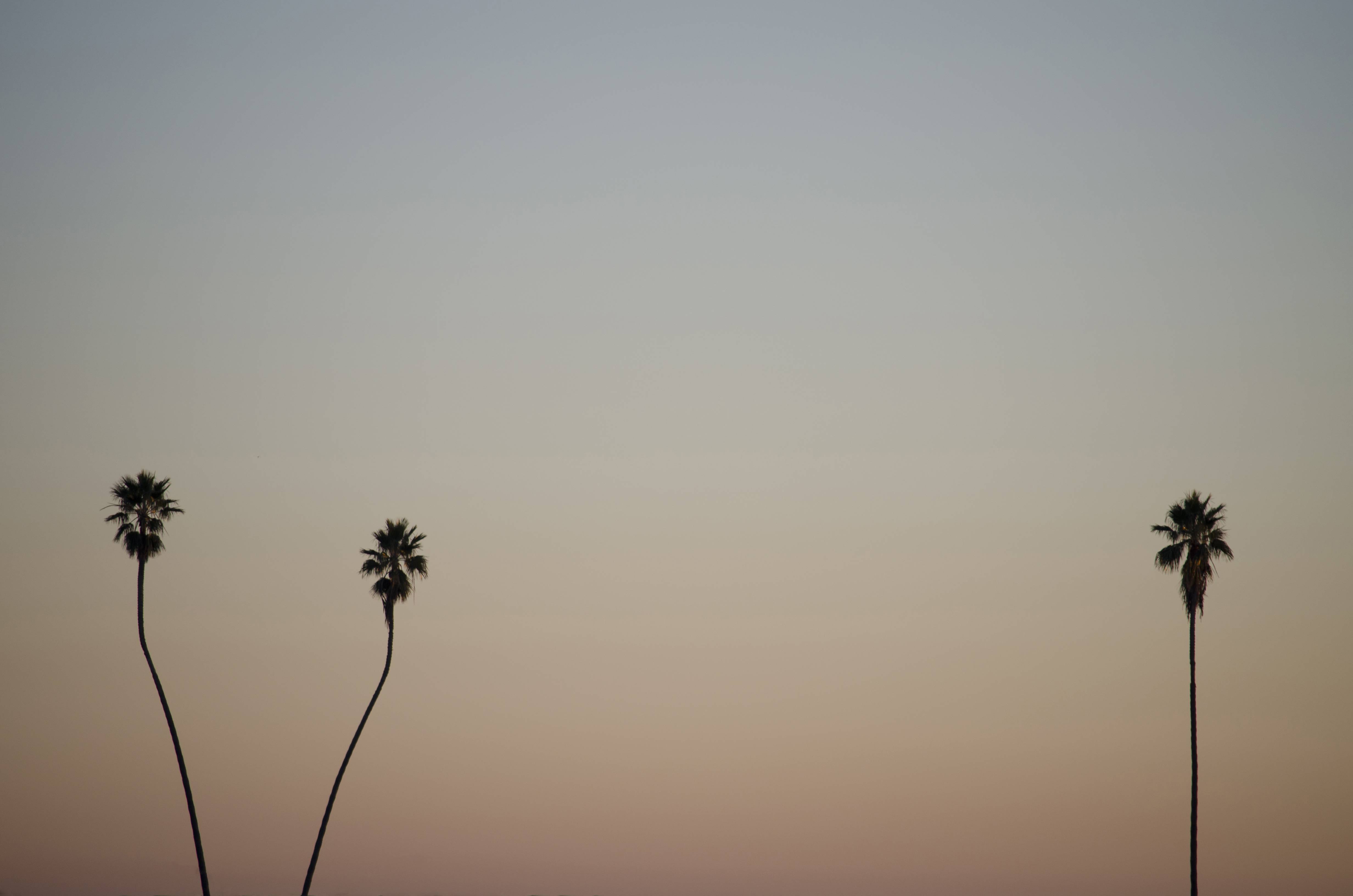 Minimalist Wallpaper HD