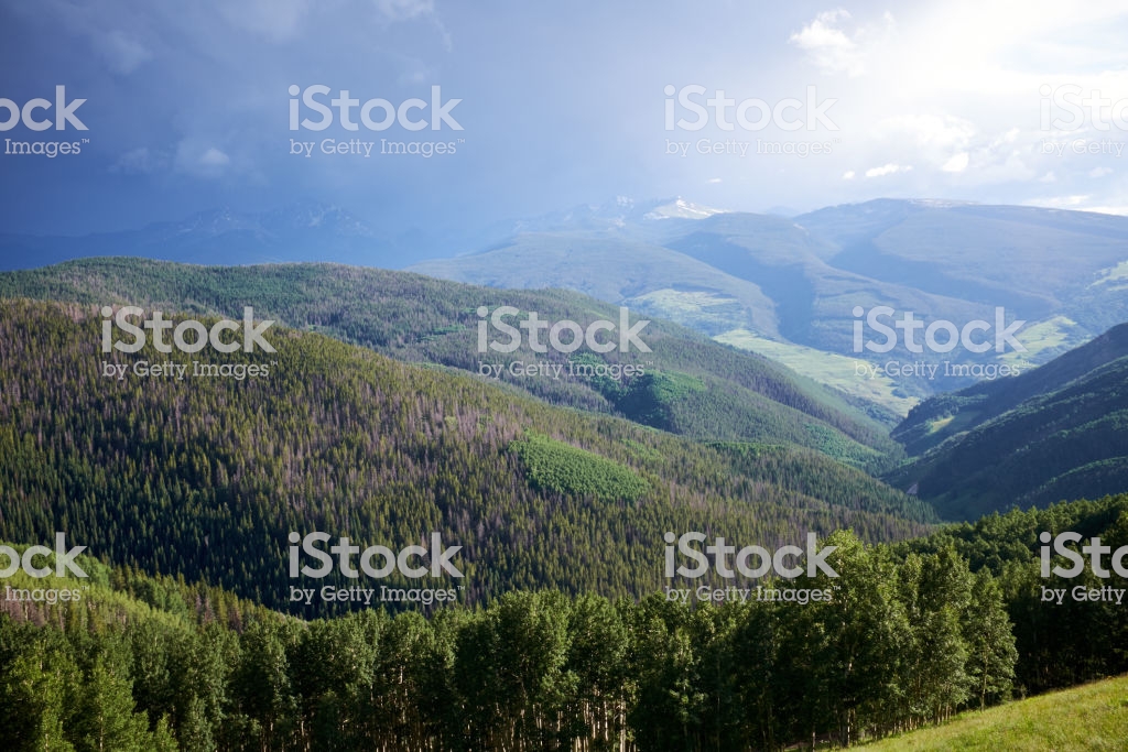 Forested Valley With Vail Mountain In Background Stock Photo