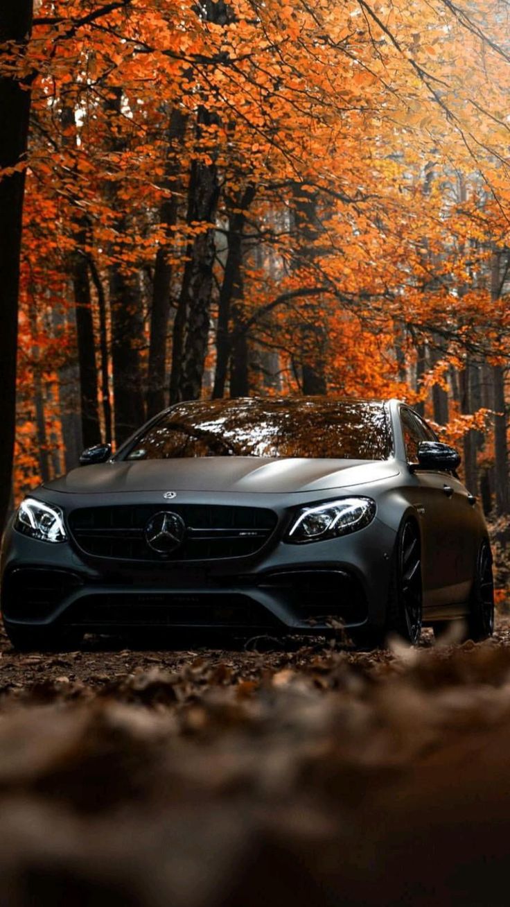 Cc61d11ec7822f2638354c472d2ed666 Wallpaper