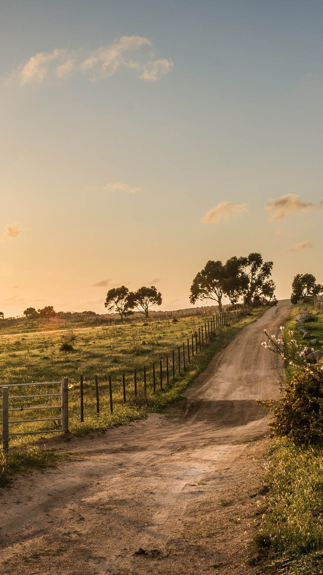 Country Western Wallpaper