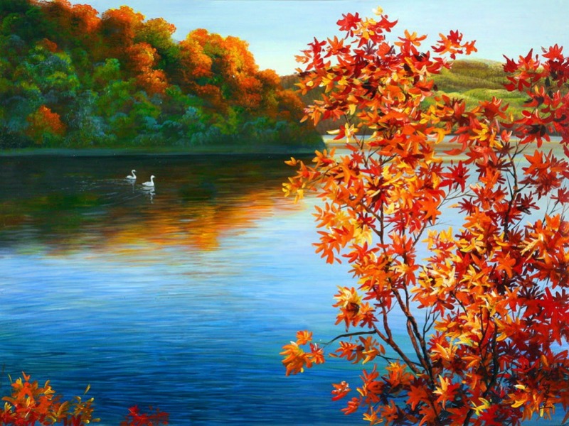 Autumn Forest Lake Desktop HD Wallpaper Car Pictures