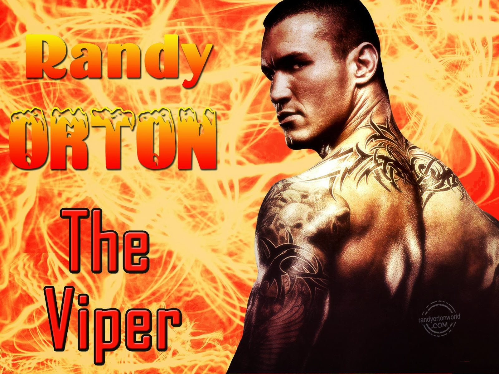 Randy Orton HD Wallpaper Brrip