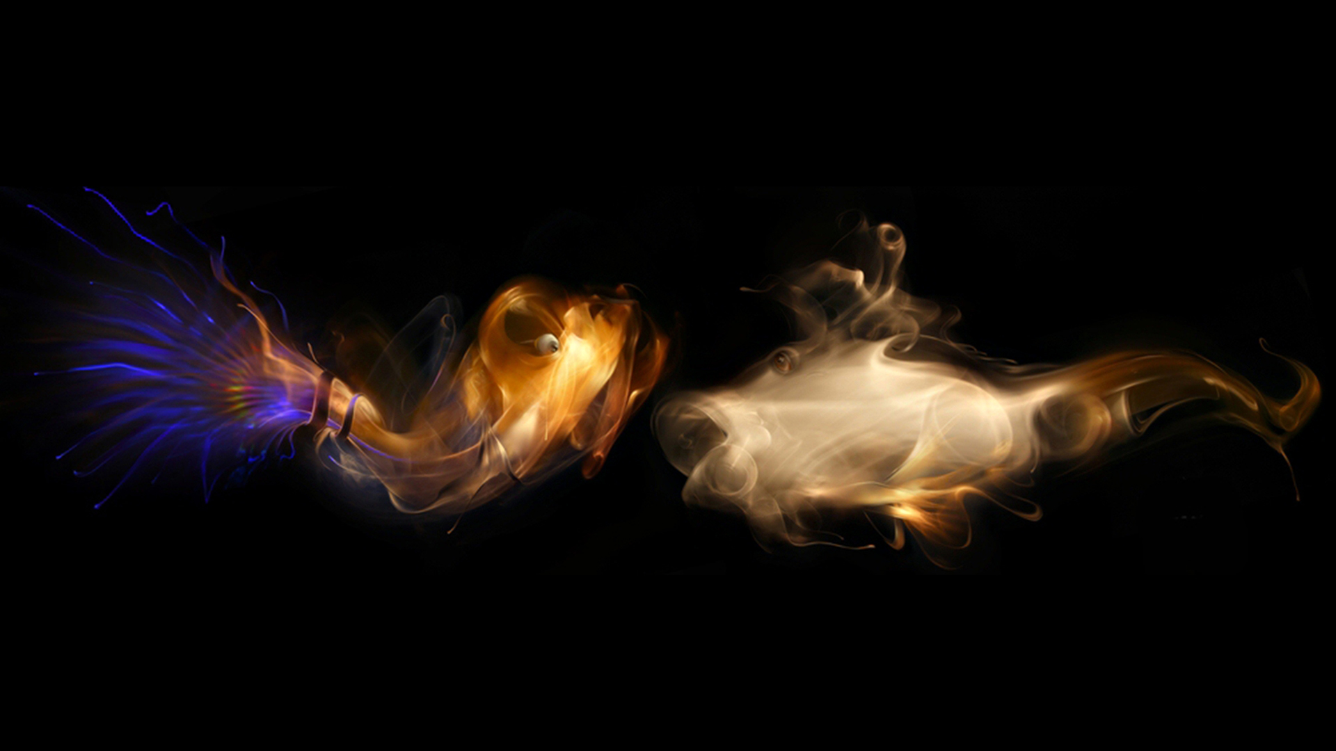 Multi Color Smoke Fish With Black Background 3d Gaming HD Wallpaper