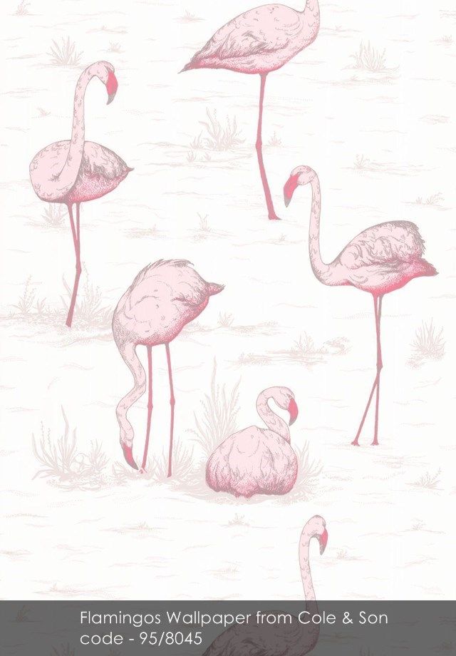 Flamingos Wallpaper From Cole Son Pastel Perfect