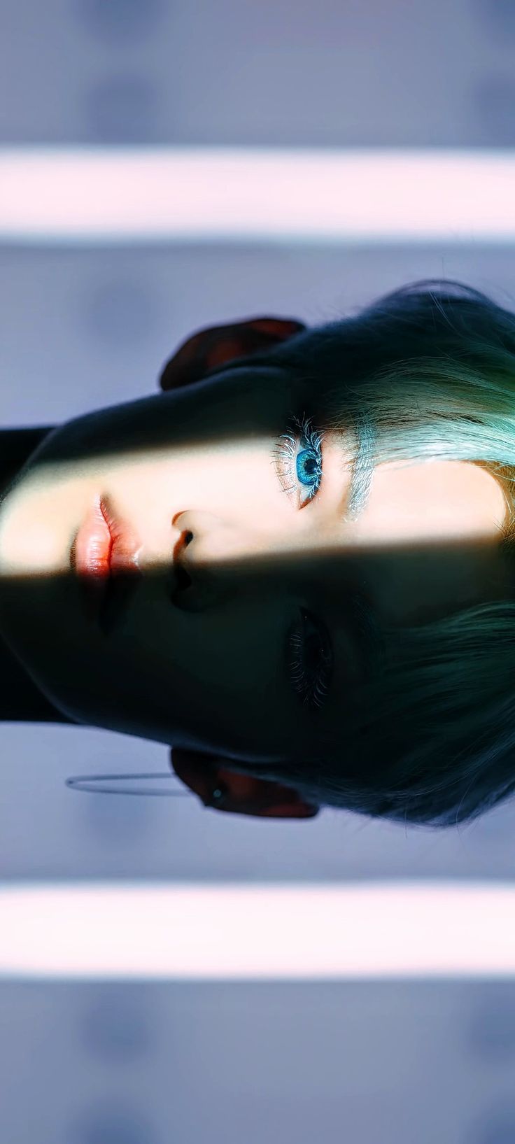 Felix Wallpaper Nel