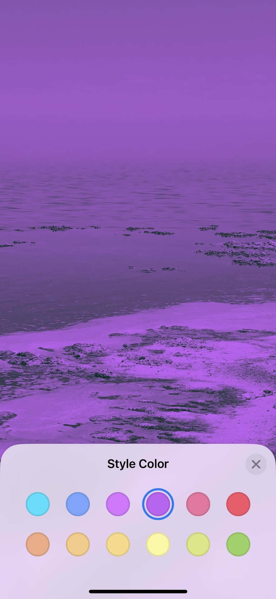 Lilac Color Wallpaper