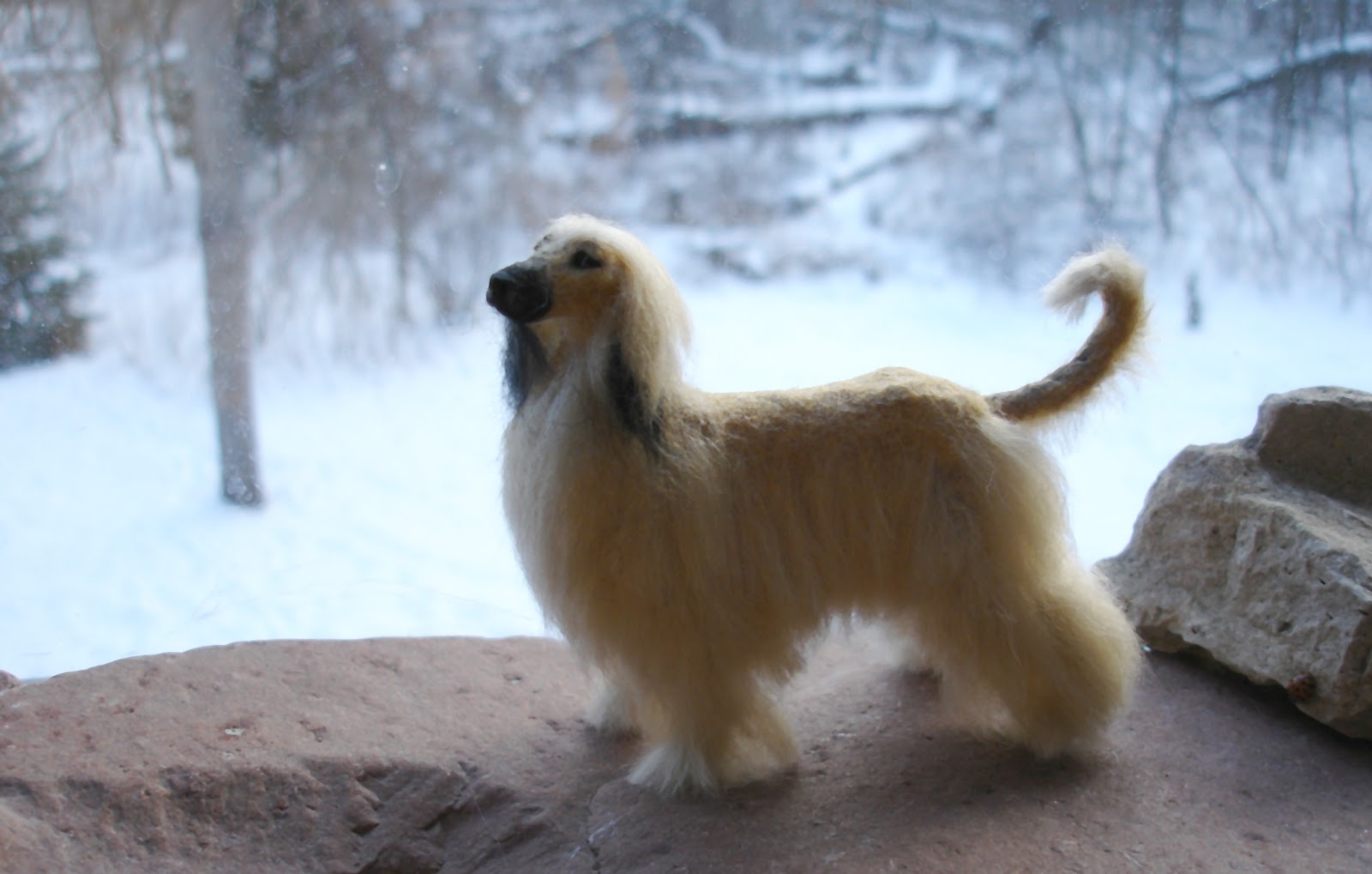 Afghan Hound In Winter Photo And Wallpaper Beautiful