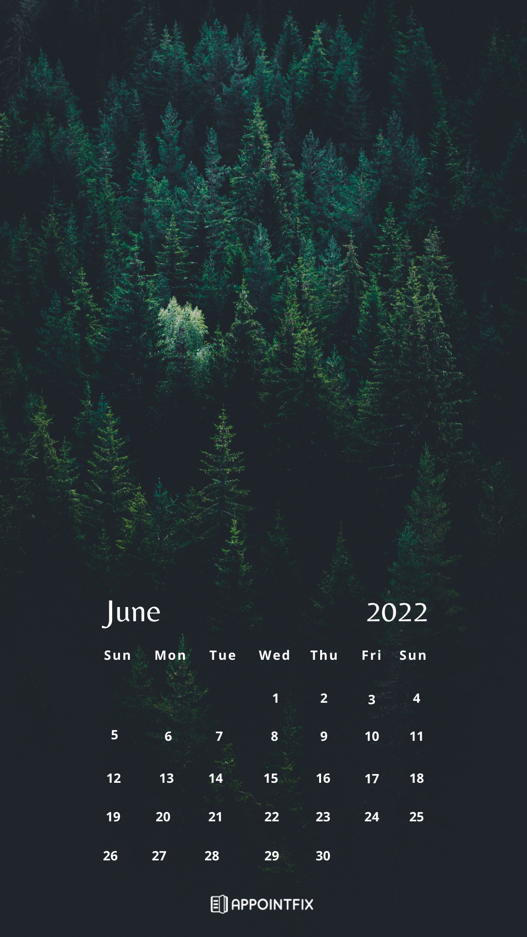 Free June 2022 Calendar Wallpapers Desktop Mobile 1080x1920