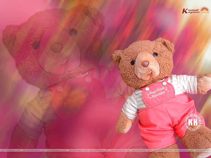 Galleries Lonely Teddy Bear Wallpaper Pink
