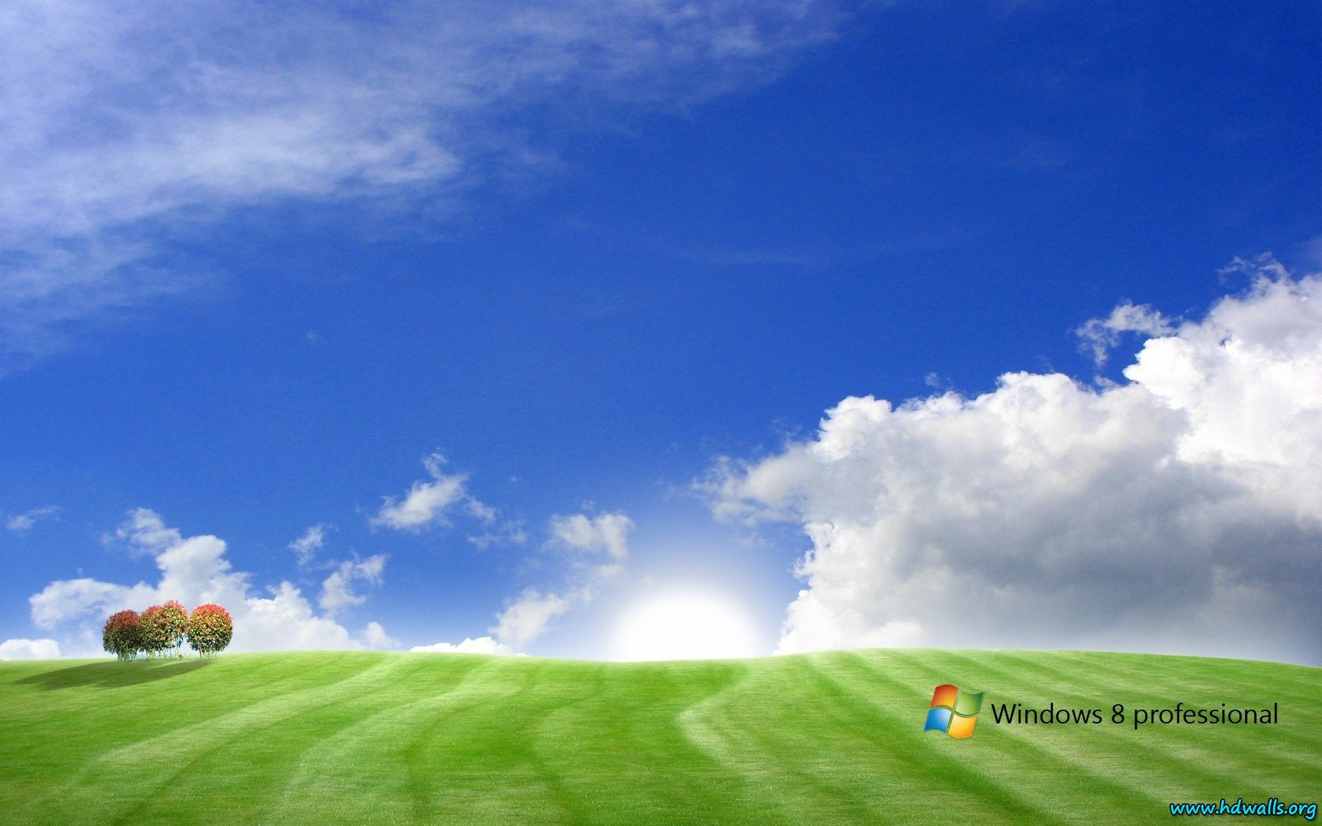 Windows 8 10 wallpaper background in HD Widescreen resolution
