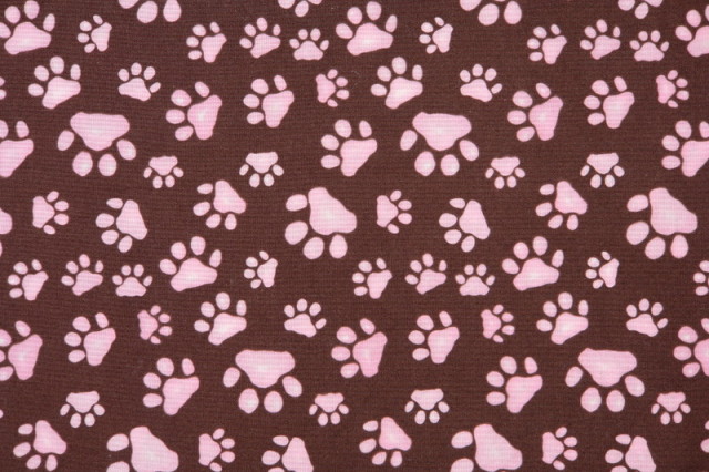 Paw Wallpaper And Background Of HD Background