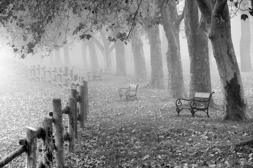 Wallpaper download Autumn Nebel Landscape Tau   HD Download 960x639