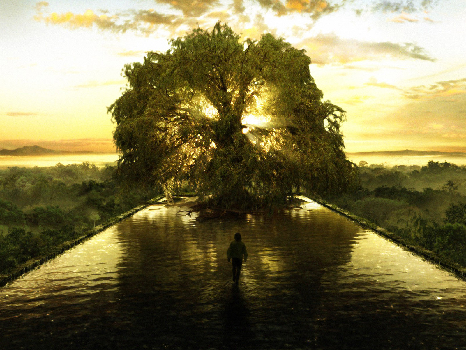 The Tree Of Life HD Wallpaper