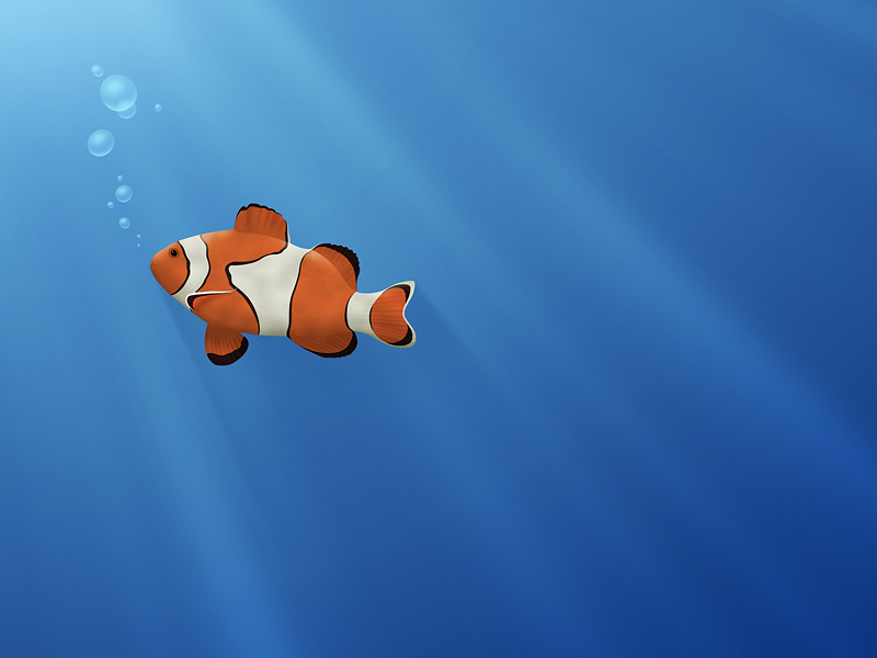 Free download 7 desktop wallpaper location file48html [800x600] for