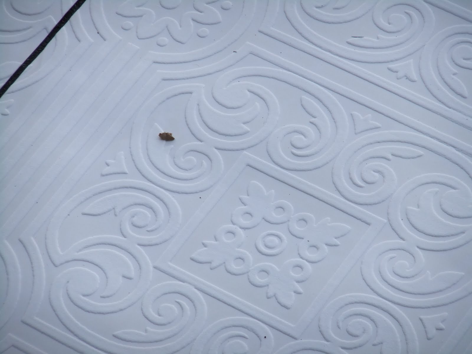 Free download particular wallpaper looked somewhat similar to tin