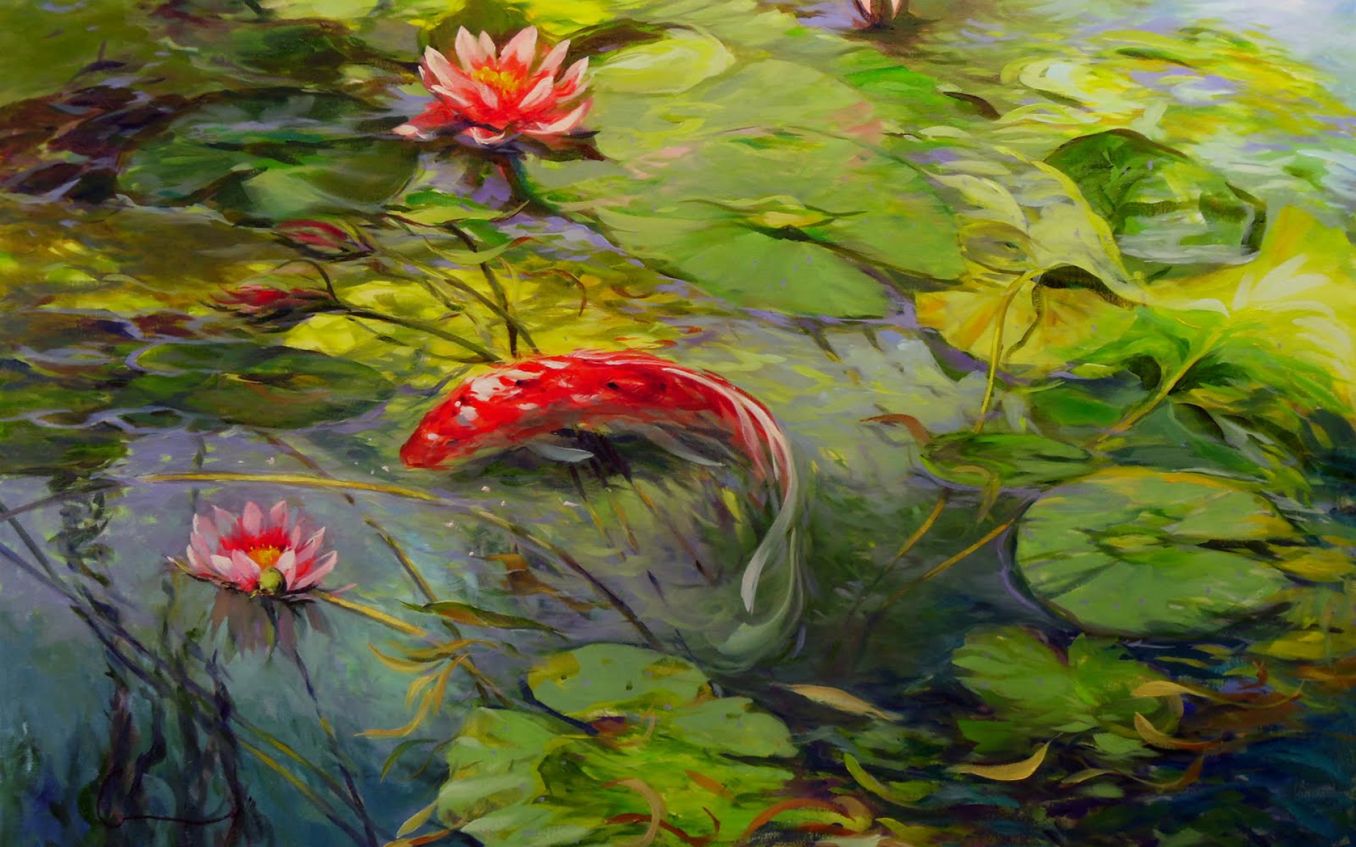 Lovely Koi Lily Pond Wallpaper