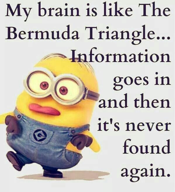 Pin Minion Funny Quotes And Sayings
