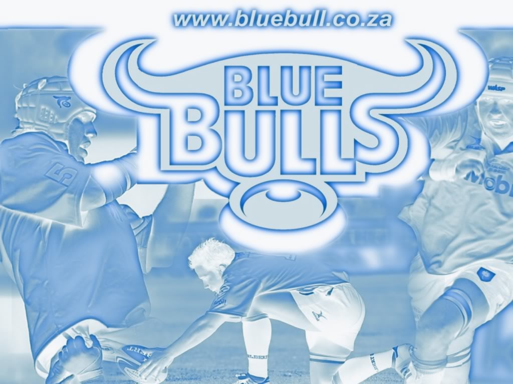 Blue Bulls Wallpaper Images Pictures   Becuo 1024x768
