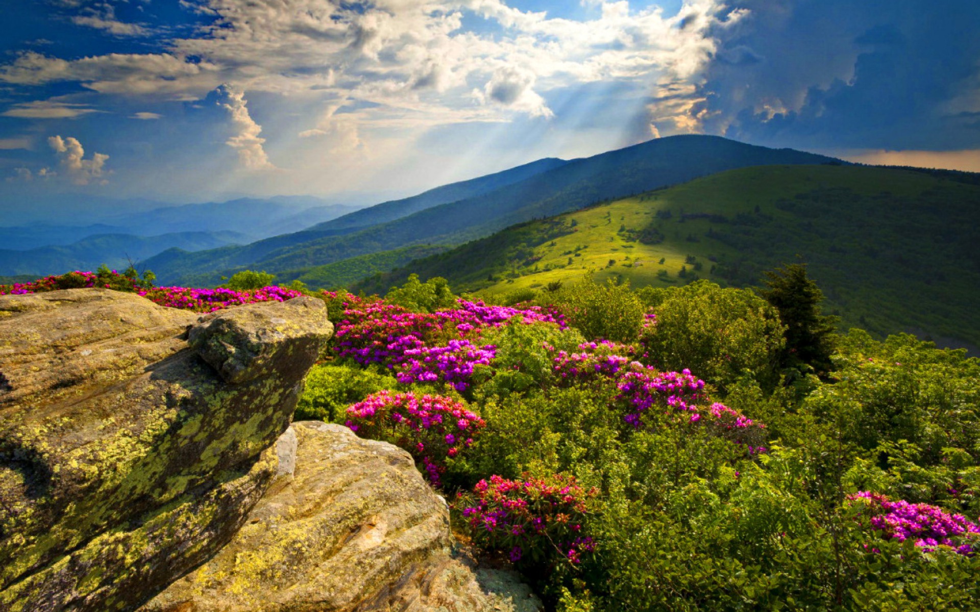 Free Download HD Wallpapers Blue Ridge Mountains Mountains Nature 