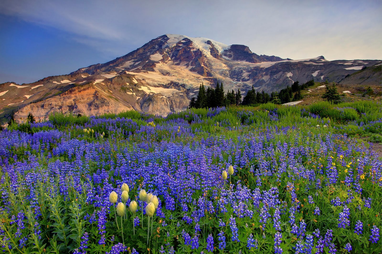 Mount Rainier Washington HD Background Desktop Wallpaper