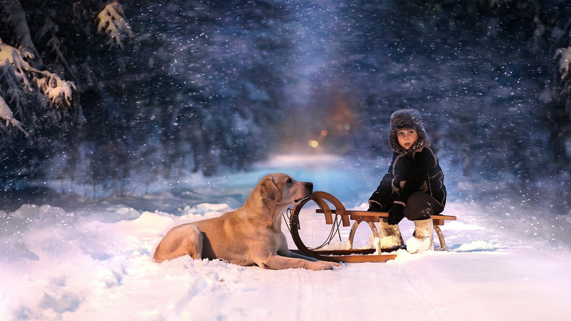 Holidays Christmas Winter Snow Seasons Seasonal Roads Snowing