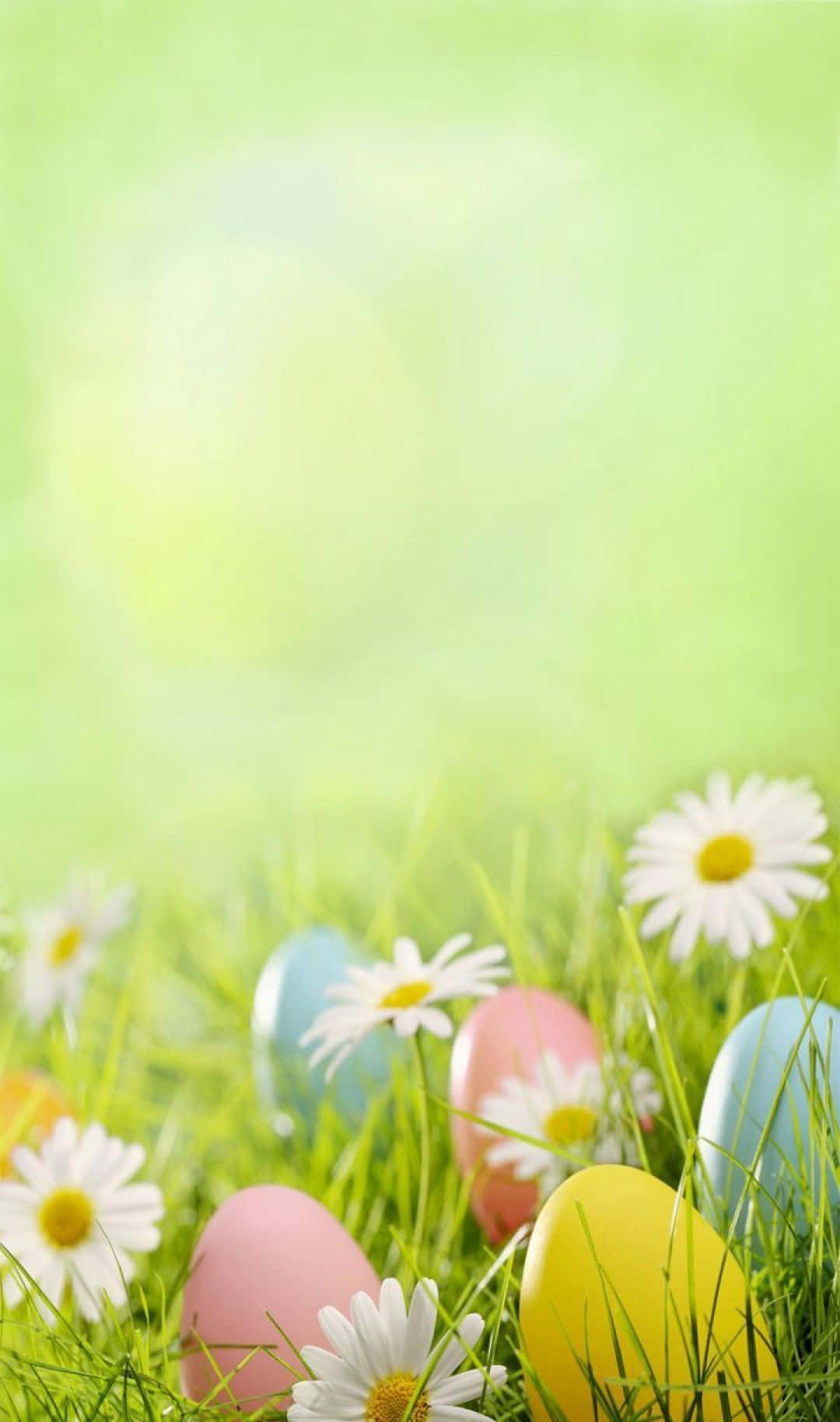 Cute Easter iPhone Wallpaper