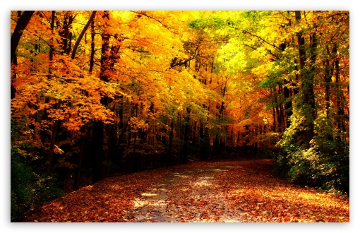 Wisconsin Autumn HD Desktop Wallpaper Widescreen High Definition