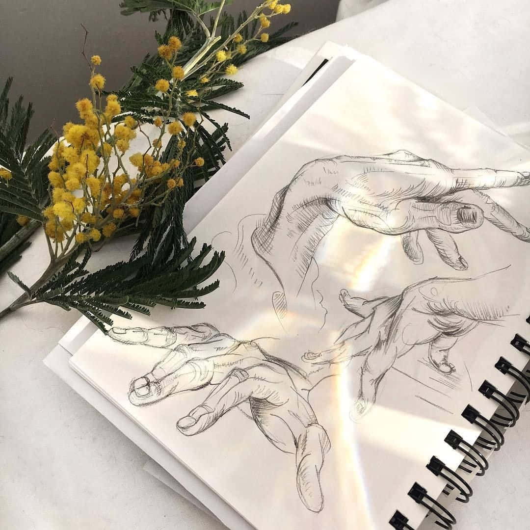 Aesthetic Drawings Picture Wallpaper
