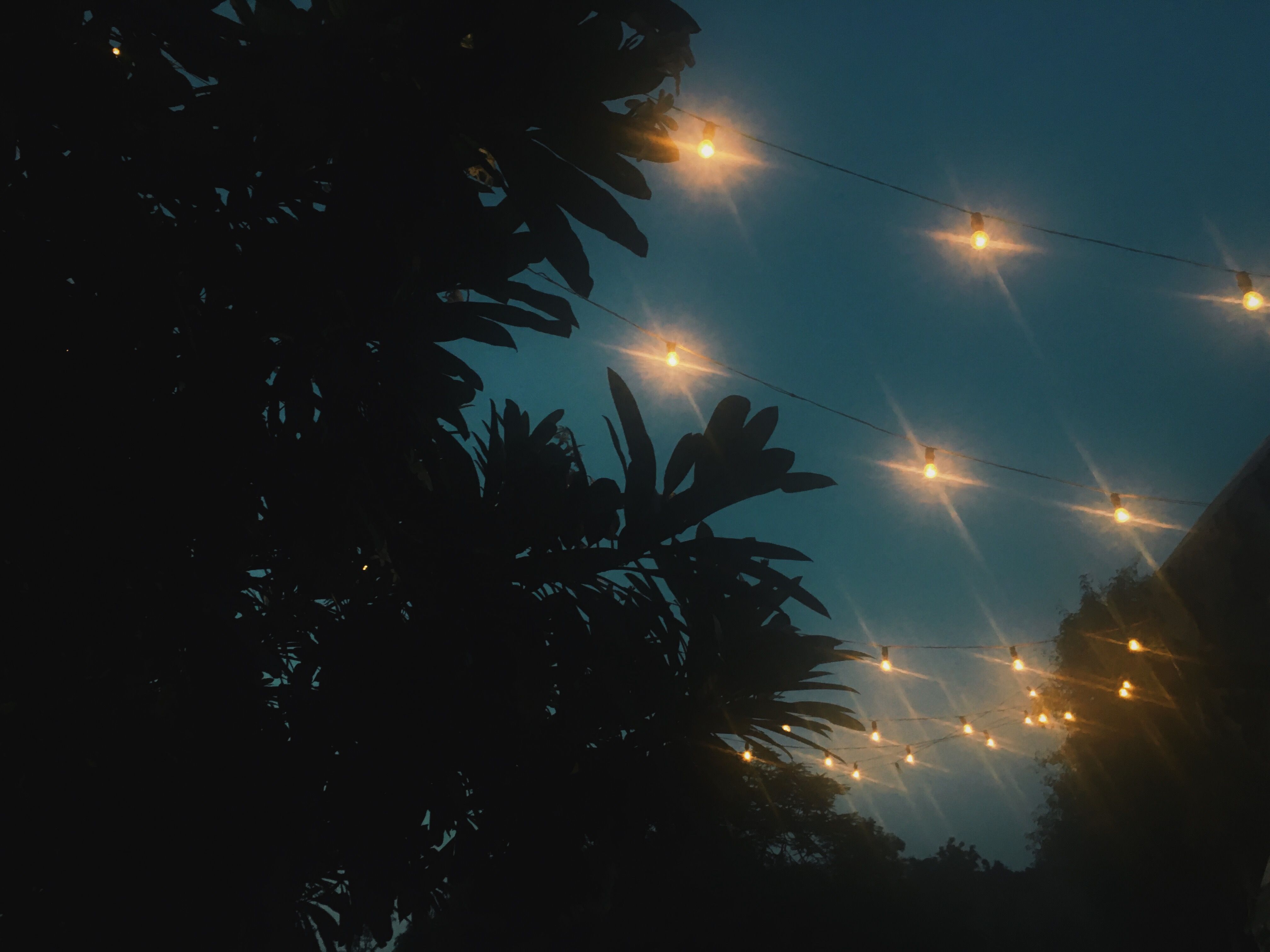 Aesthetic Lights Wallpaper