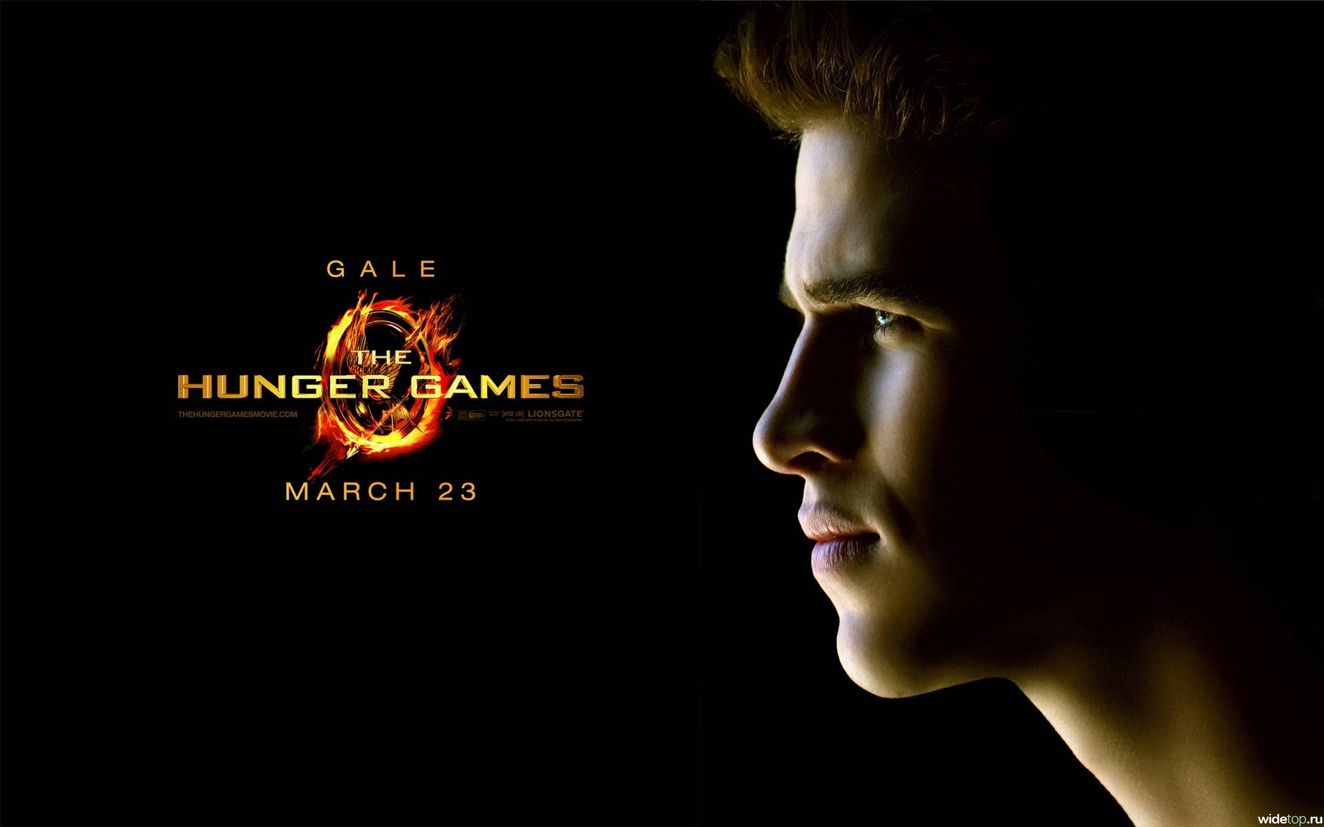 Hunger Games Desktop Background Image