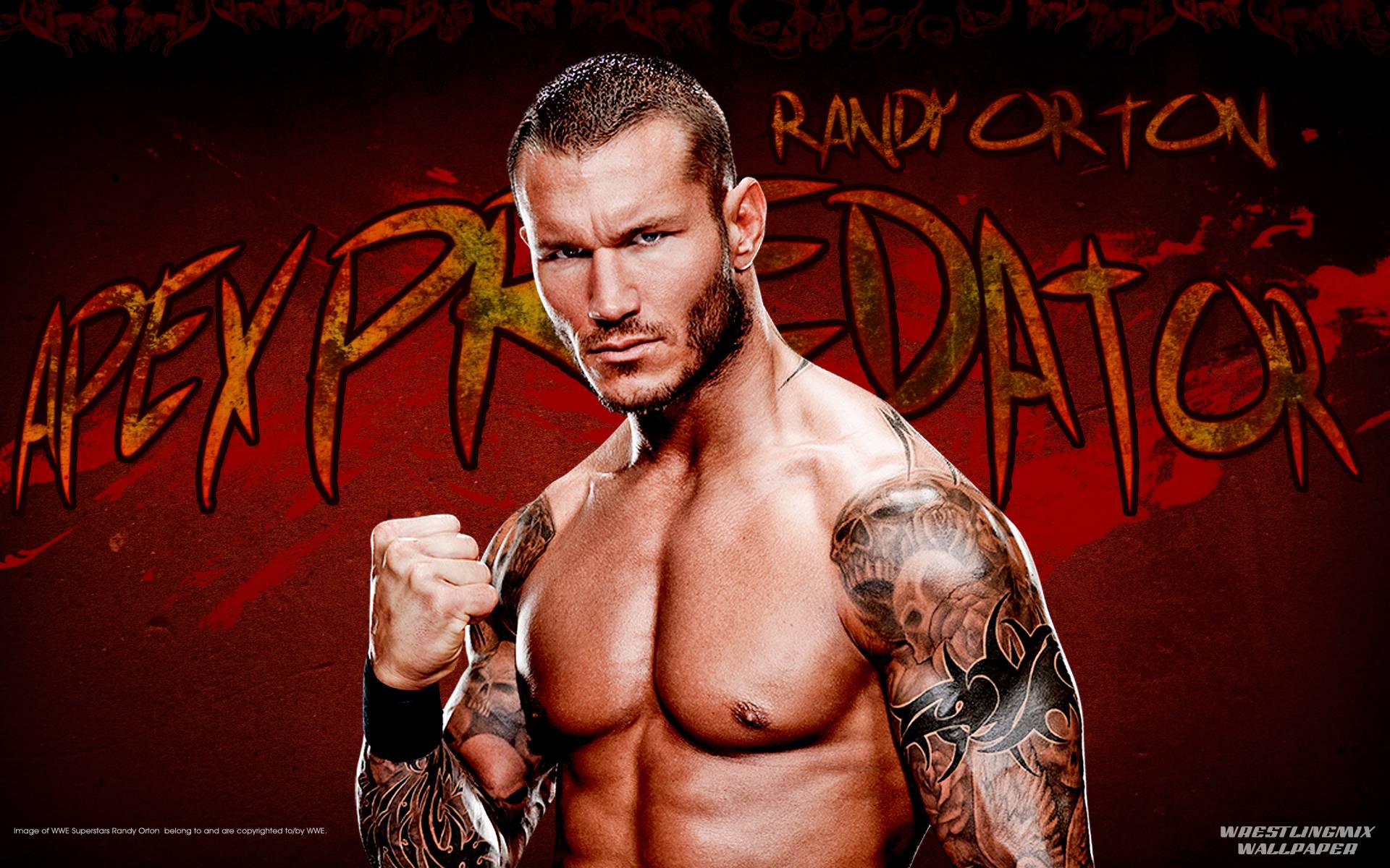 Wallpaper HD Randy Orton