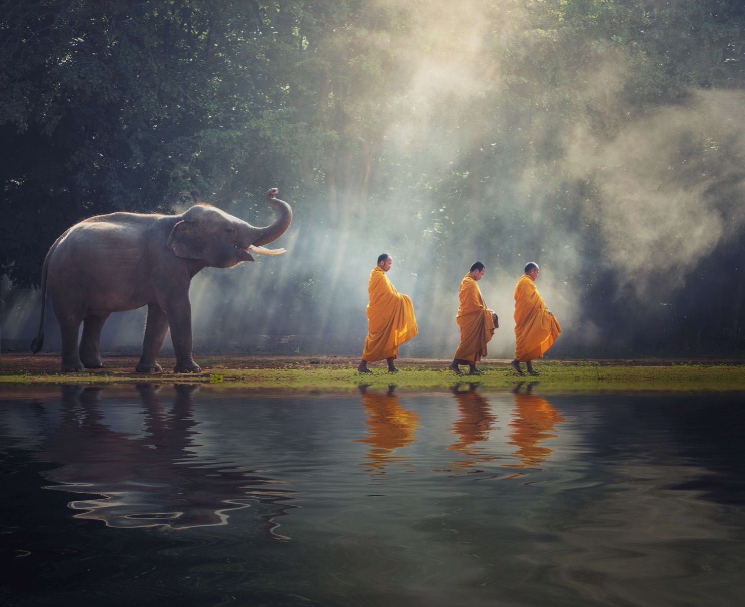 Elephant and Buddhists   Photo Wallpaper