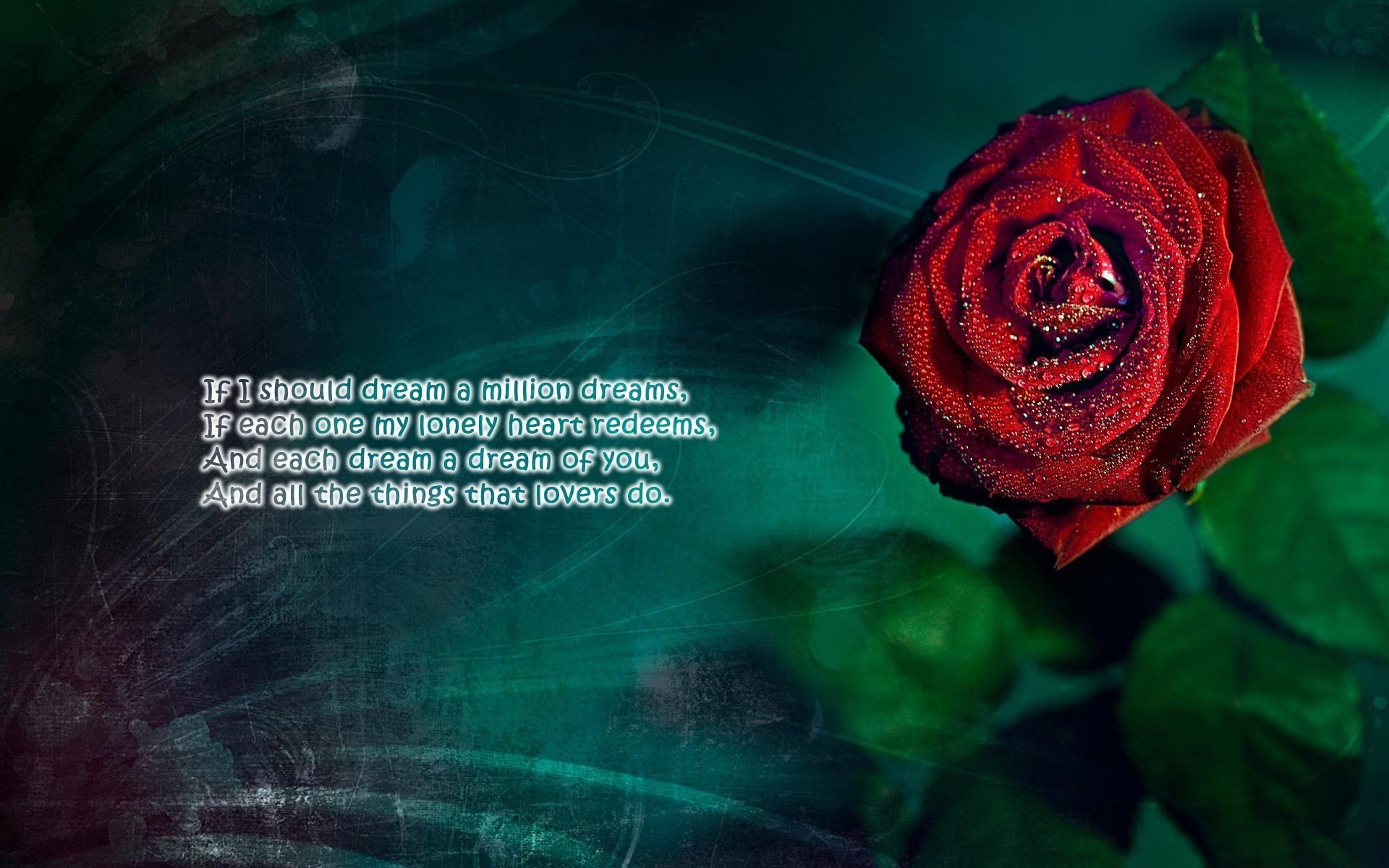 Love Poem And Red Rose Widescreen Wallpaper