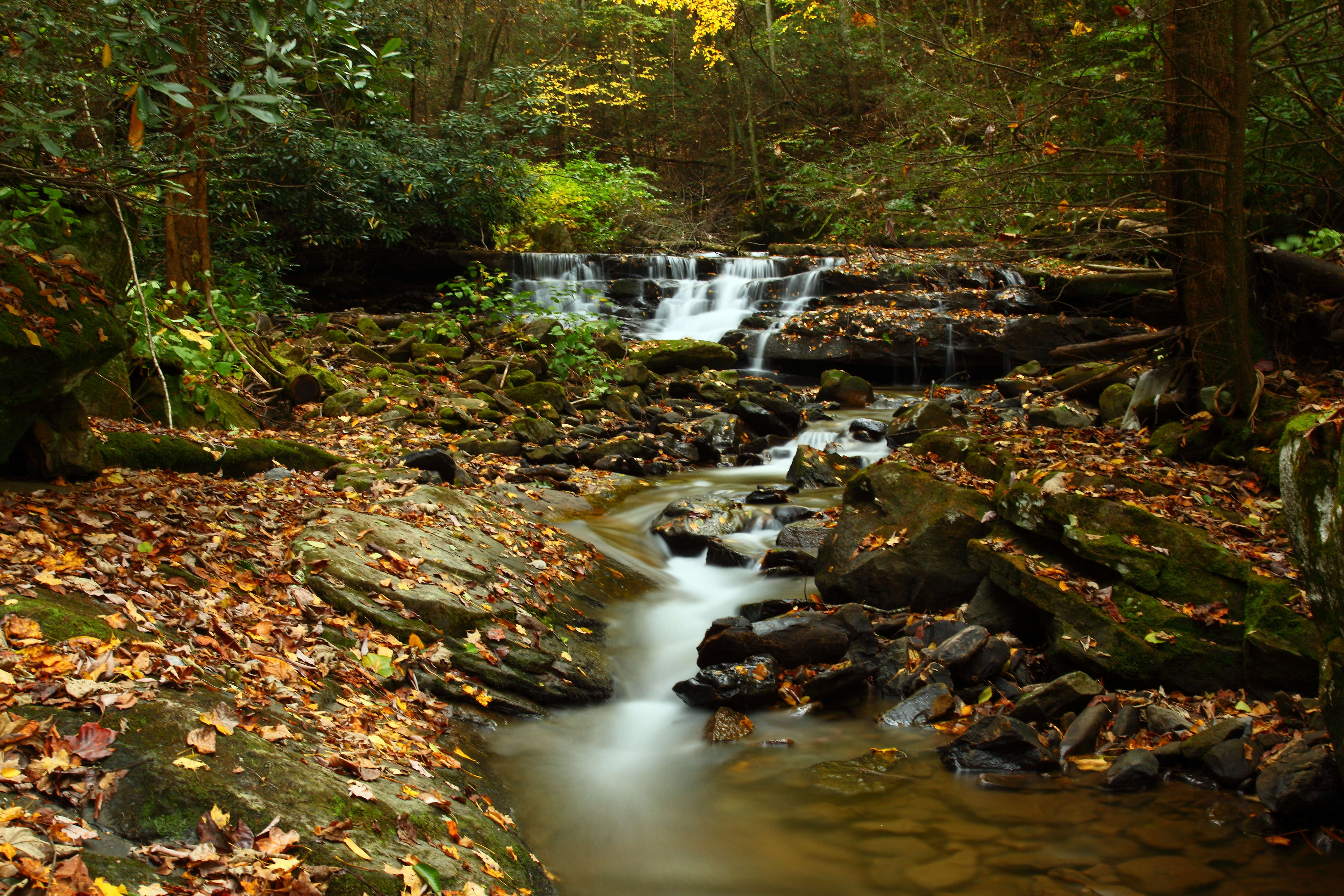 West Virginia Fall Foliage Creek Waterfalls Creeks Streams