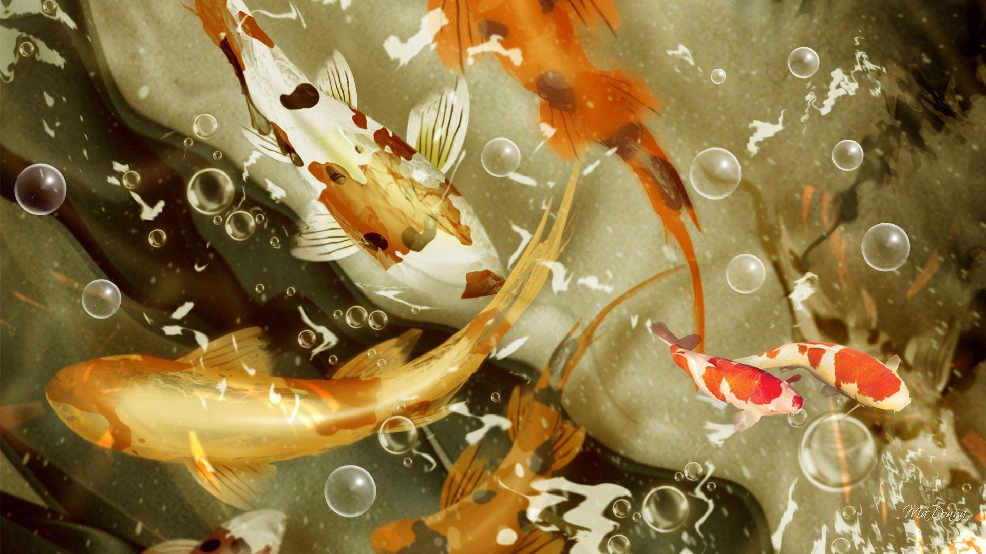 HD wallpaper pop art koi fish  Wallpaper Flare