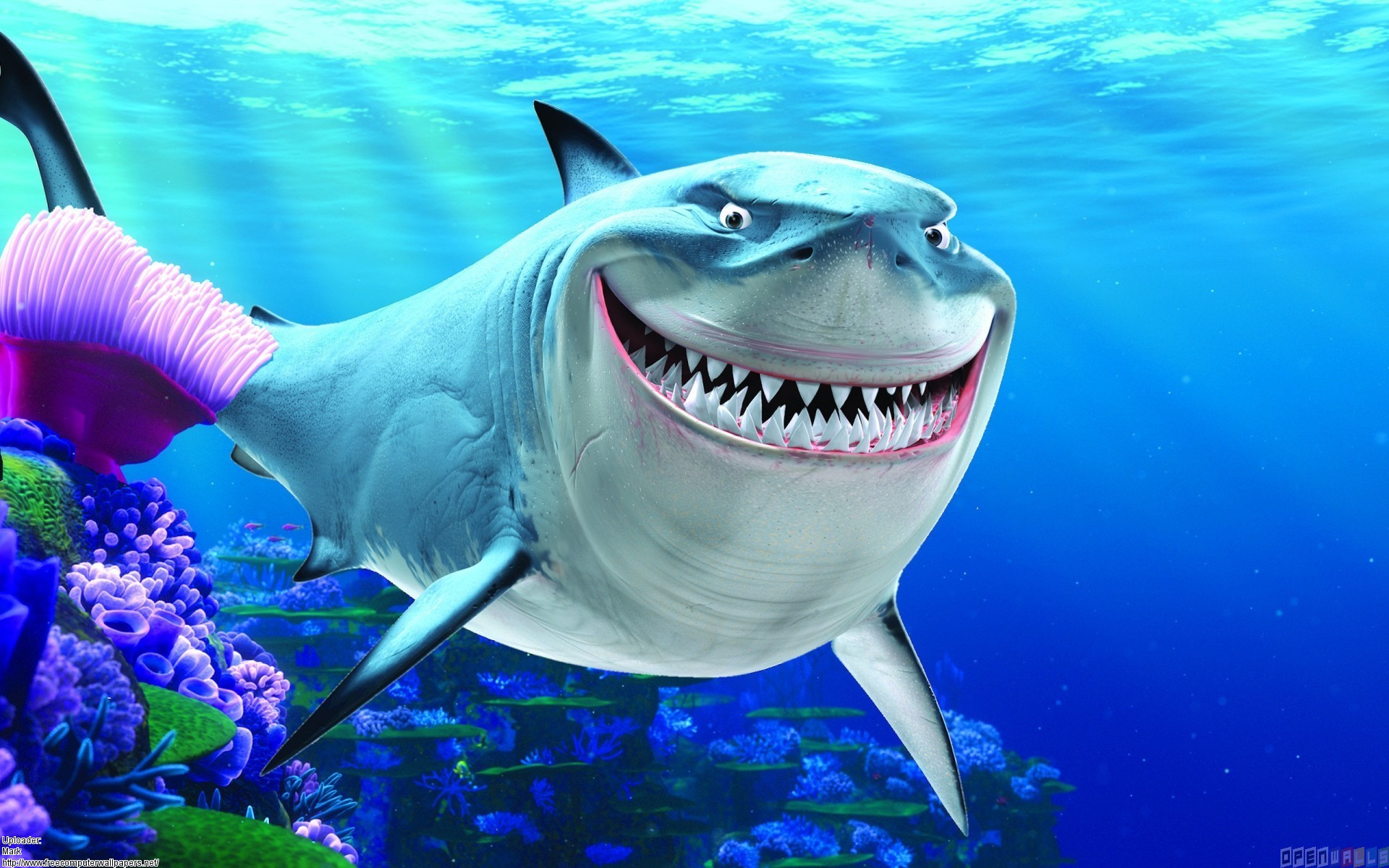 Finding Nemo Bruce HD Wallpaper For iPad Air Cartoons
