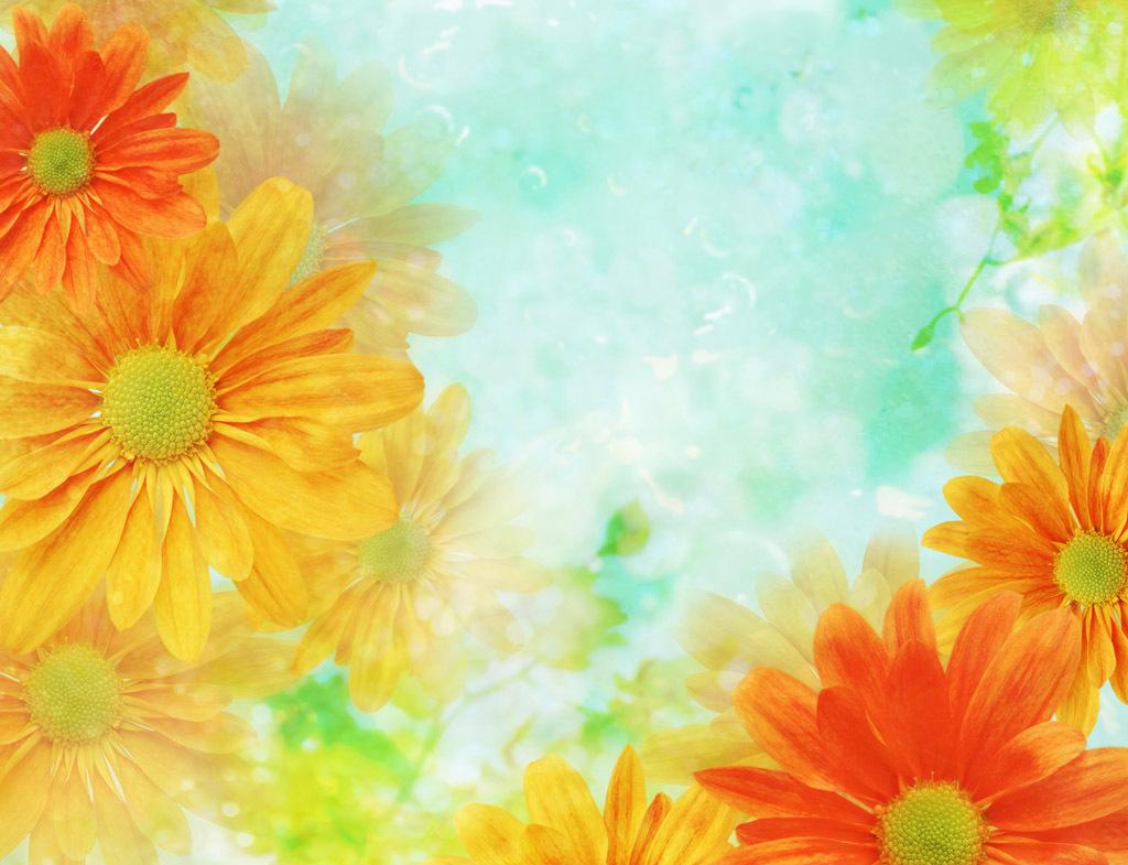 Orange Flowers Background Themes