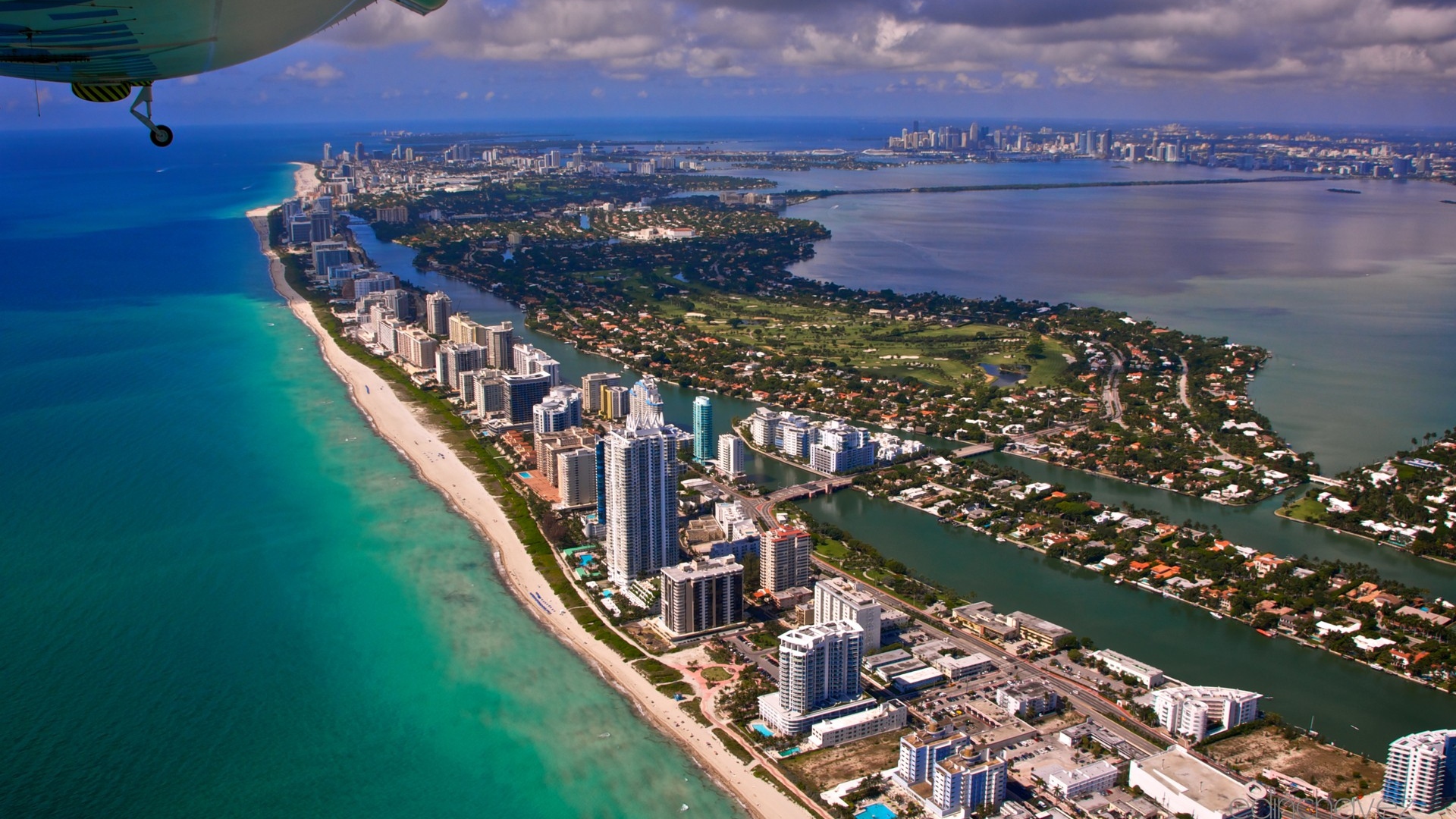 Miami Wallpaper