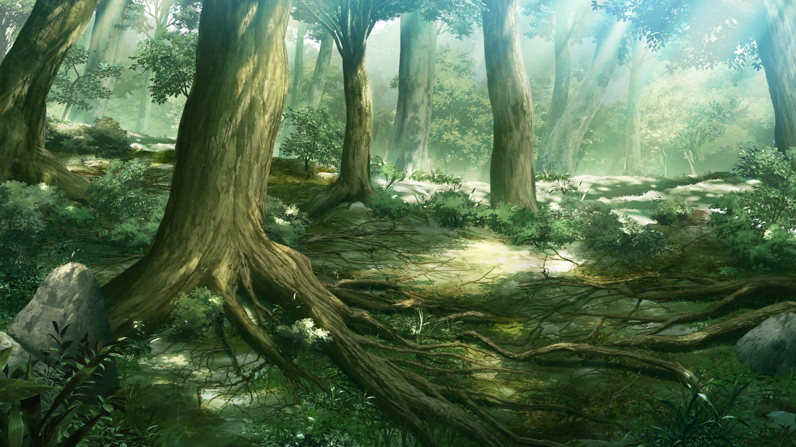 Anime Forest Scenery Wallpaper