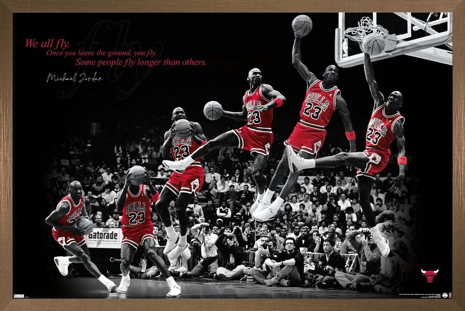 Amazoncom Trends International Michael Jordan   Fly Wall Poster